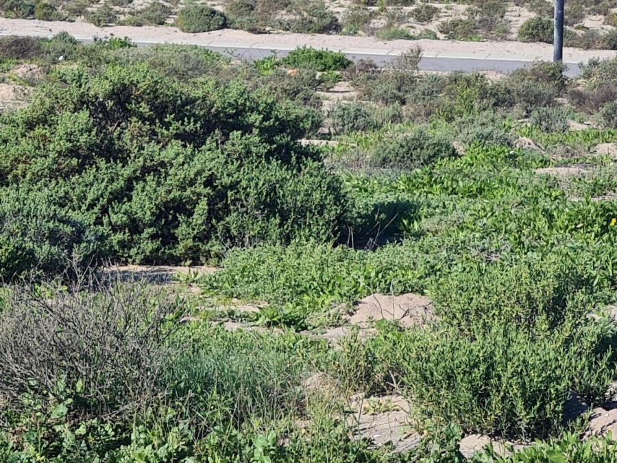 0 Bedroom Property for Sale in Laaiplek Western Cape